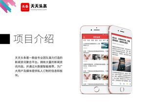 北京网站推广策略与产品推广介绍PPT方案